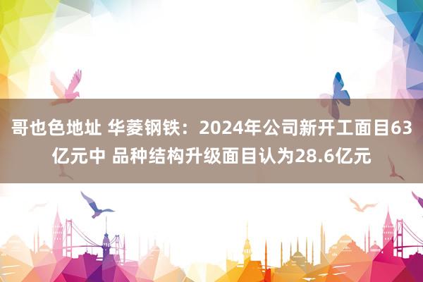 哥也色地址 华菱钢铁：2024年公司新开工面目63亿元中 品种结构升级面目认为28.6亿元