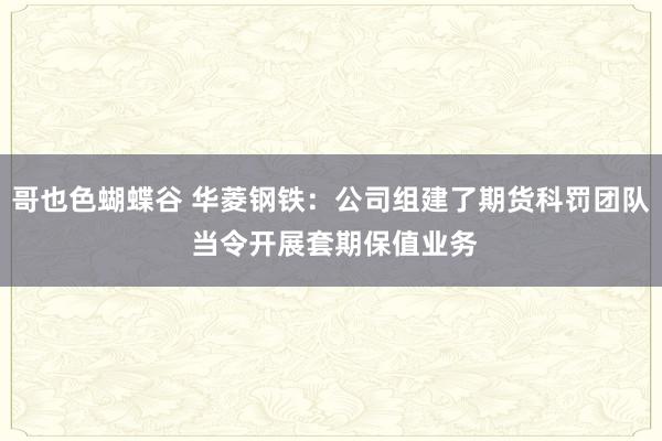 哥也色蝴蝶谷 华菱钢铁：公司组建了期货科罚团队 当令开展套期保值业务