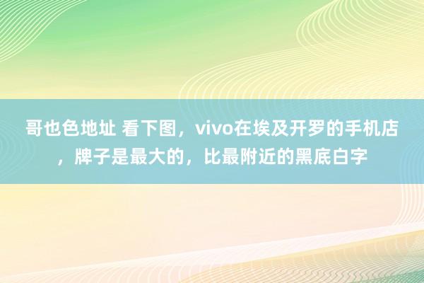 哥也色地址 看下图，vivo在埃及开罗的手机店，牌子是最大的，比最附近的黑底白字
