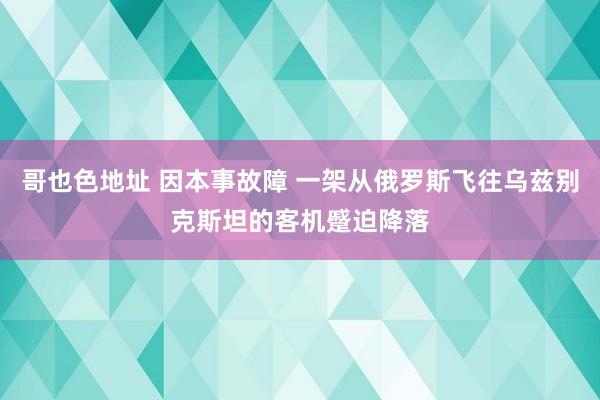 哥也色地址 因本事故障 一架从俄罗斯飞往乌兹别克斯坦的客机蹙迫降落