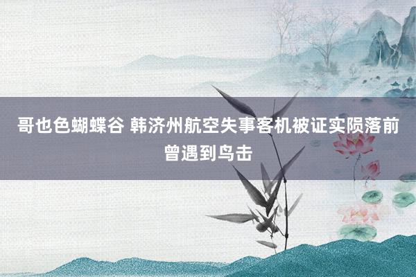哥也色蝴蝶谷 韩济州航空失事客机被证实陨落前曾遇到鸟击
