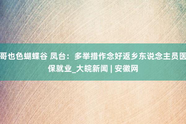 哥也色蝴蝶谷 凤台：多举措作念好返乡东说念主员医保就业_大皖新闻 | 安徽网