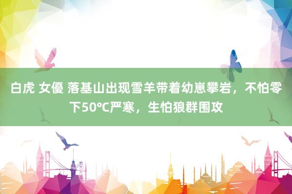 白虎 女優 落基山出现雪羊带着幼崽攀岩，不怕零下50℃严寒，生怕狼群围攻