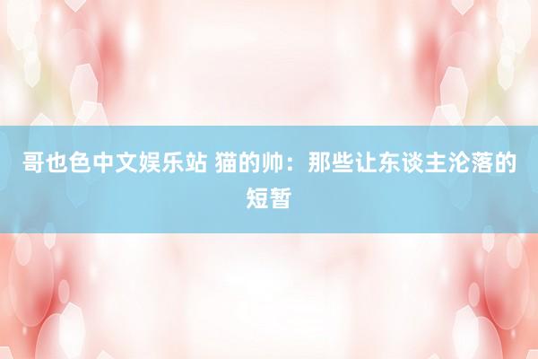 哥也色中文娱乐站 猫的帅：那些让东谈主沦落的短暂