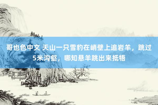 哥也色中文 天山一只雪豹在峭壁上追岩羊，跳过5米沟壑，哪知悬羊跳出来抵牾