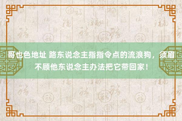 哥也色地址 路东说念主指指令点的流浪狗，须眉不顾他东说念主办法把它带回家！