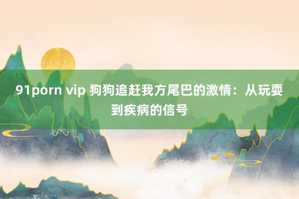 91porn vip 狗狗追赶我方尾巴的激情：从玩耍到疾病的信号
