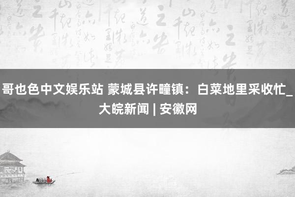哥也色中文娱乐站 蒙城县许疃镇：白菜地里采收忙_大皖新闻 | 安徽网