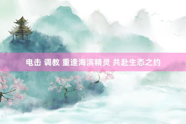 电击 调教 重逢海滨精灵 共赴生态之约