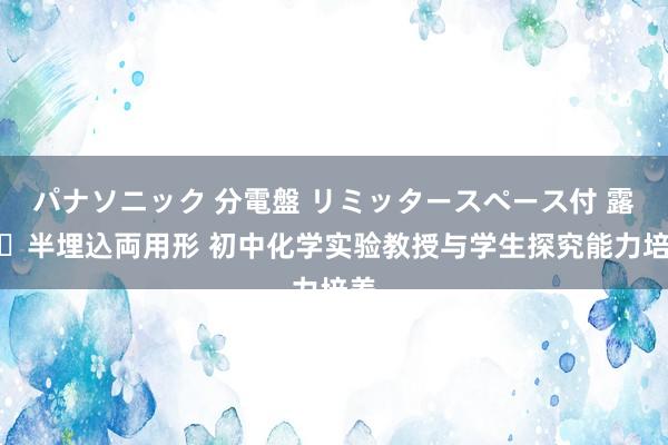 パナソニック 分電盤 リミッタースペース付 露出・半埋込両用形 初中化学实验教授与学生探究能力培养