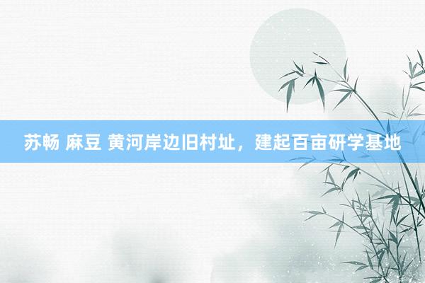 苏畅 麻豆 黄河岸边旧村址，建起百亩研学基地