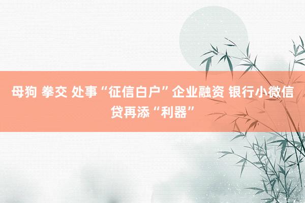 母狗 拳交 处事“征信白户”企业融资 银行小微信贷再添“利器”