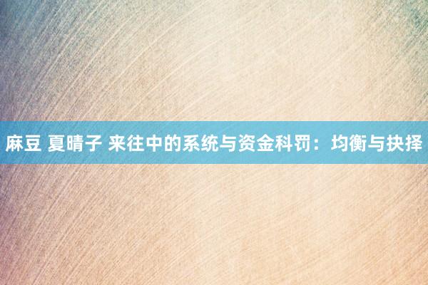 麻豆 夏晴子 来往中的系统与资金科罚：均衡与抉择