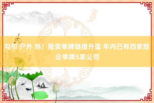 勾引 户外 热！险资举牌链接升温 年内已有四家险企举牌5家公司