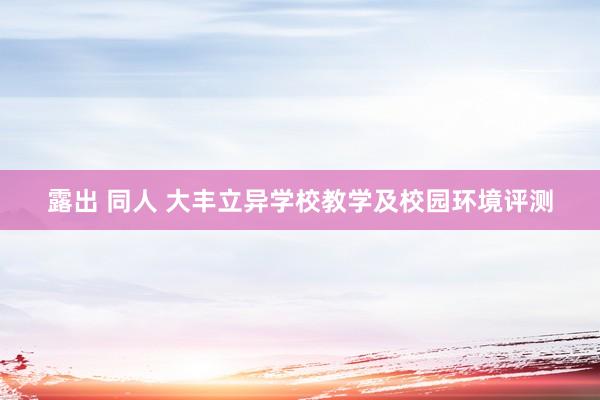 露出 同人 大丰立异学校教学及校园环境评测