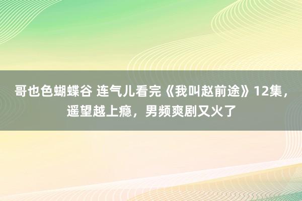 哥也色蝴蝶谷 连气儿看完《我叫赵前途》12集，遥望越上瘾，男频爽剧又火了