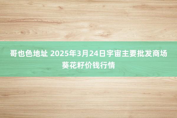 哥也色地址 2025年3月24日宇宙主要批发商场葵花籽价钱行情