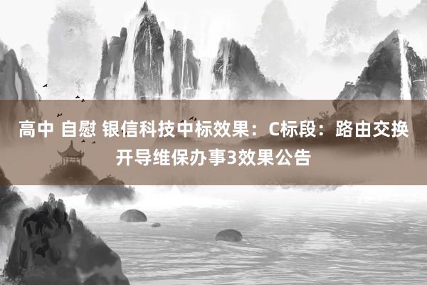 高中 自慰 银信科技中标效果：C标段：路由交换开导维保办事3效果公告