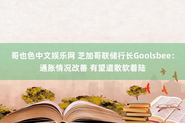 哥也色中文娱乐网 芝加哥联储行长Goolsbee：通胀情况改善 有望遣散软着陆