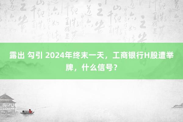 露出 勾引 2024年终末一天，工商银行H股遭举牌，什么信号？