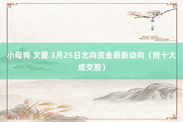 小母狗 文爱 3月25日北向资金最新动向（附十大成交股）