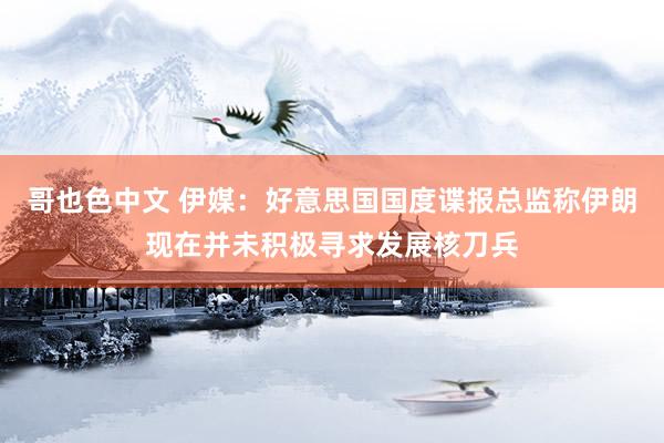 哥也色中文 伊媒：好意思国国度谍报总监称伊朗现在并未积极寻求发展核刀兵