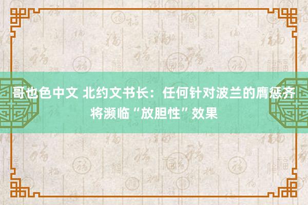 哥也色中文 北约文书长：任何针对波兰的膺惩齐将濒临“放胆性”效果