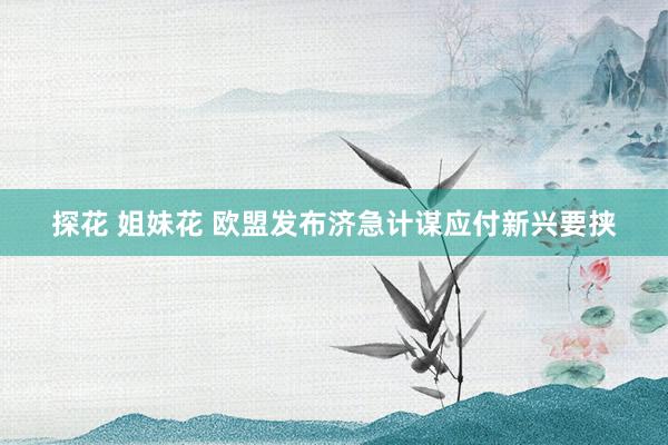 探花 姐妹花 欧盟发布济急计谋应付新兴要挟