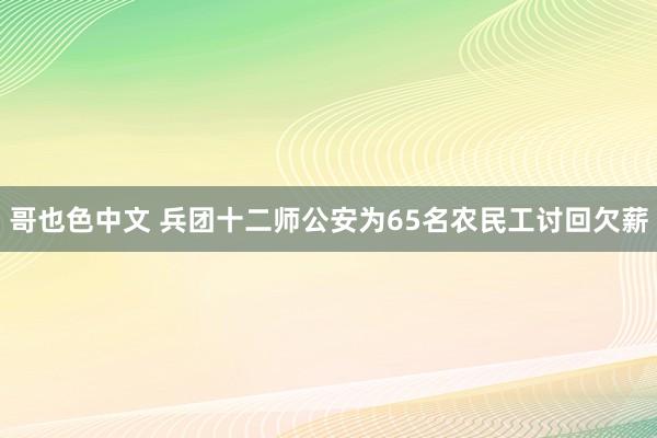 哥也色中文 兵团十二师公安为65名农民工讨回欠薪