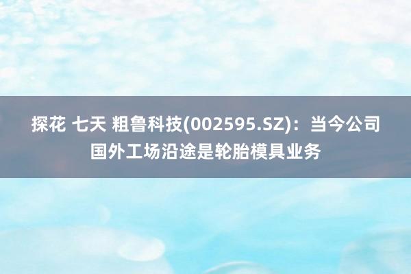 探花 七天 粗鲁科技(002595.SZ)：当今公司国外工场沿途是轮胎模具业务