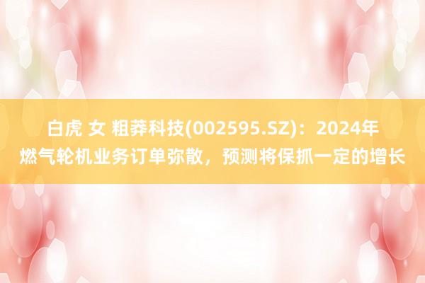 白虎 女 粗莽科技(002595.SZ)：2024年燃气轮机业务订单弥散，预测将保抓一定的增长