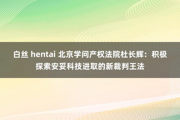 白丝 hentai 北京学问产权法院杜长辉：积极探索安妥科技进取的新裁判王法