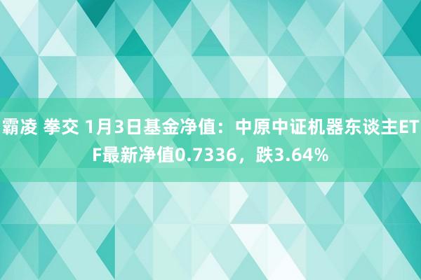 霸凌 拳交 1月3日基金净值：中原中证机器东谈主ETF最新净值0.7336，跌3.64%