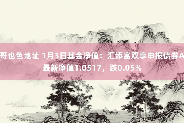 哥也色地址 1月3日基金净值：汇添富双享申报债券A最新净值1.0517，跌0.05%