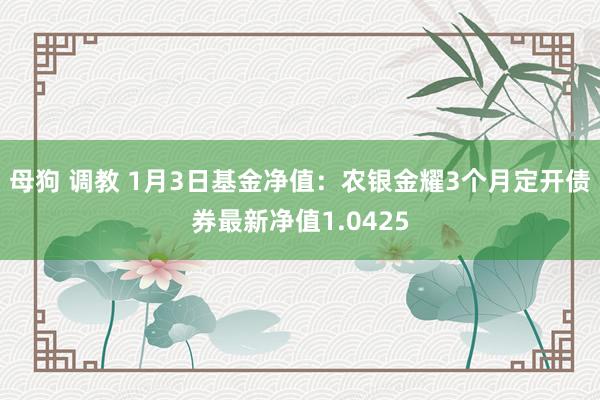 母狗 调教 1月3日基金净值：农银金耀3个月定开债券最新净值1.0425