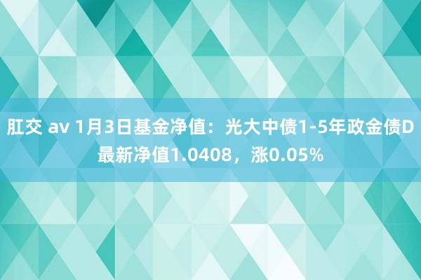 肛交 av 1月3日基金净值：光大中债1-5年政金债D最新净值1.0408，涨0.05%