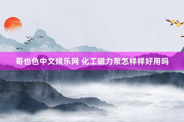 哥也色中文娱乐网 化工磁力泵怎样样好用吗
