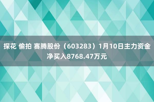 探花 偷拍 赛腾股份（603283）1月10日主力资金净买入8768.47万元
