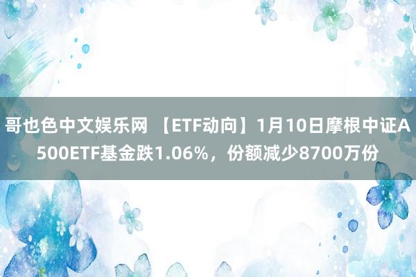 哥也色中文娱乐网 【ETF动向】1月10日摩根中证A500ETF基金跌1.06%，份额减少8700万份