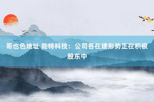 哥也色地址 能特科技：公司各在建形势正在积极股东中