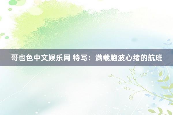 哥也色中文娱乐网 特写：满载胞波心绪的航班