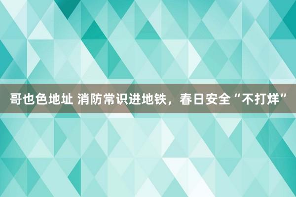 哥也色地址 消防常识进地铁，春日安全“不打烊”