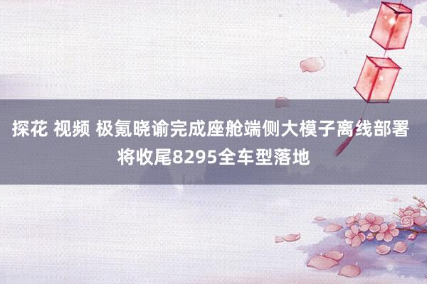 探花 视频 极氪晓谕完成座舱端侧大模子离线部署 将收尾8295全车型落地