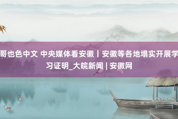 哥也色中文 中央媒体看安徽丨安徽等各地塌实开展学习证明_大皖新闻 | 安徽网