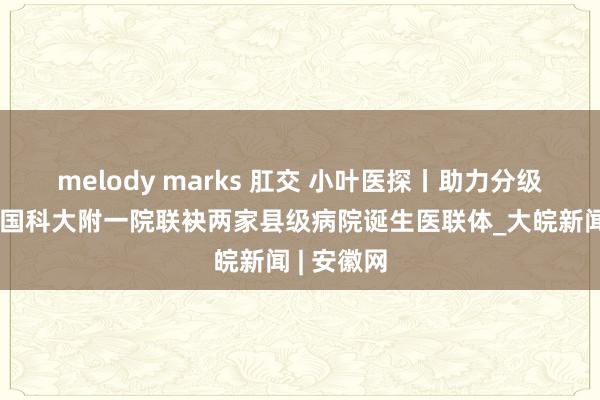 melody marks 肛交 小叶医探丨助力分级挽救！中国科大附一院联袂两家县级病院诞生医联体_大皖新闻 | 安徽网