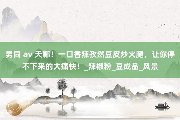 男同 av 天哪！一口香辣孜然豆皮炒火腿，让你停不下来的大痛快！_辣椒粉_豆成品_风景