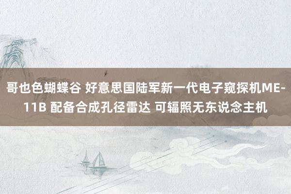 哥也色蝴蝶谷 好意思国陆军新一代电子窥探机ME-11B 配备合成孔径雷达 可辐照无东说念主机