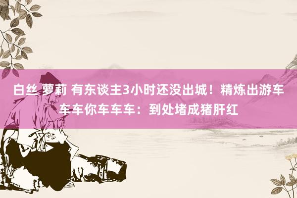 白丝 萝莉 有东谈主3小时还没出城！精炼出游车车车你车车车：到处堵成猪肝红