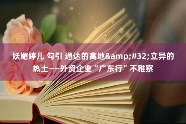 妖媚婷儿 勾引 通达的高地&#32;立异的热土——外资企业“广东行”不雅察