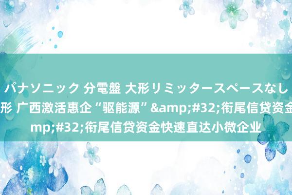 パナソニック 分電盤 大形リミッタースペースなし 露出・半埋込両用形 广西激活惠企“驱能源”&#32;衔尾信贷资金快速直达小微企业